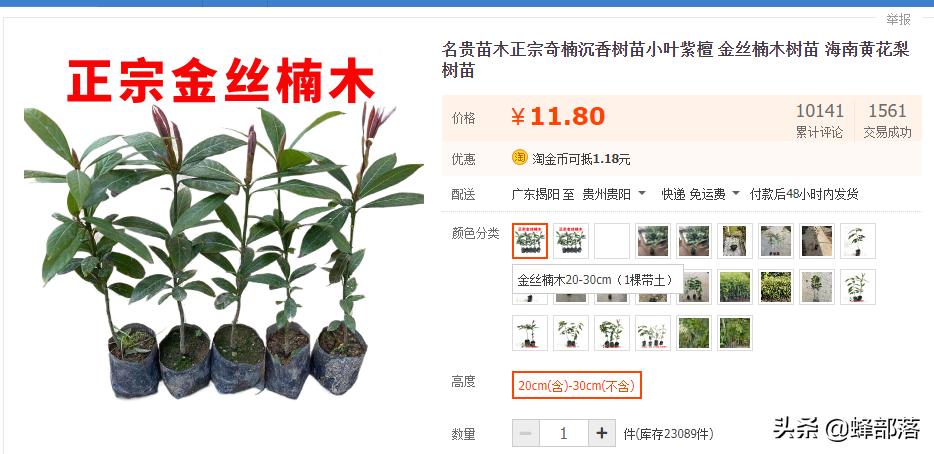 楠木是皇家专用的吗,金丝楠木现存的古树