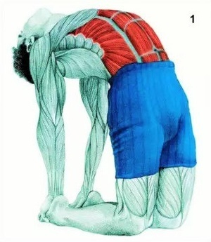 简易有效的拉筋动作,身体各部位拉筋的方法