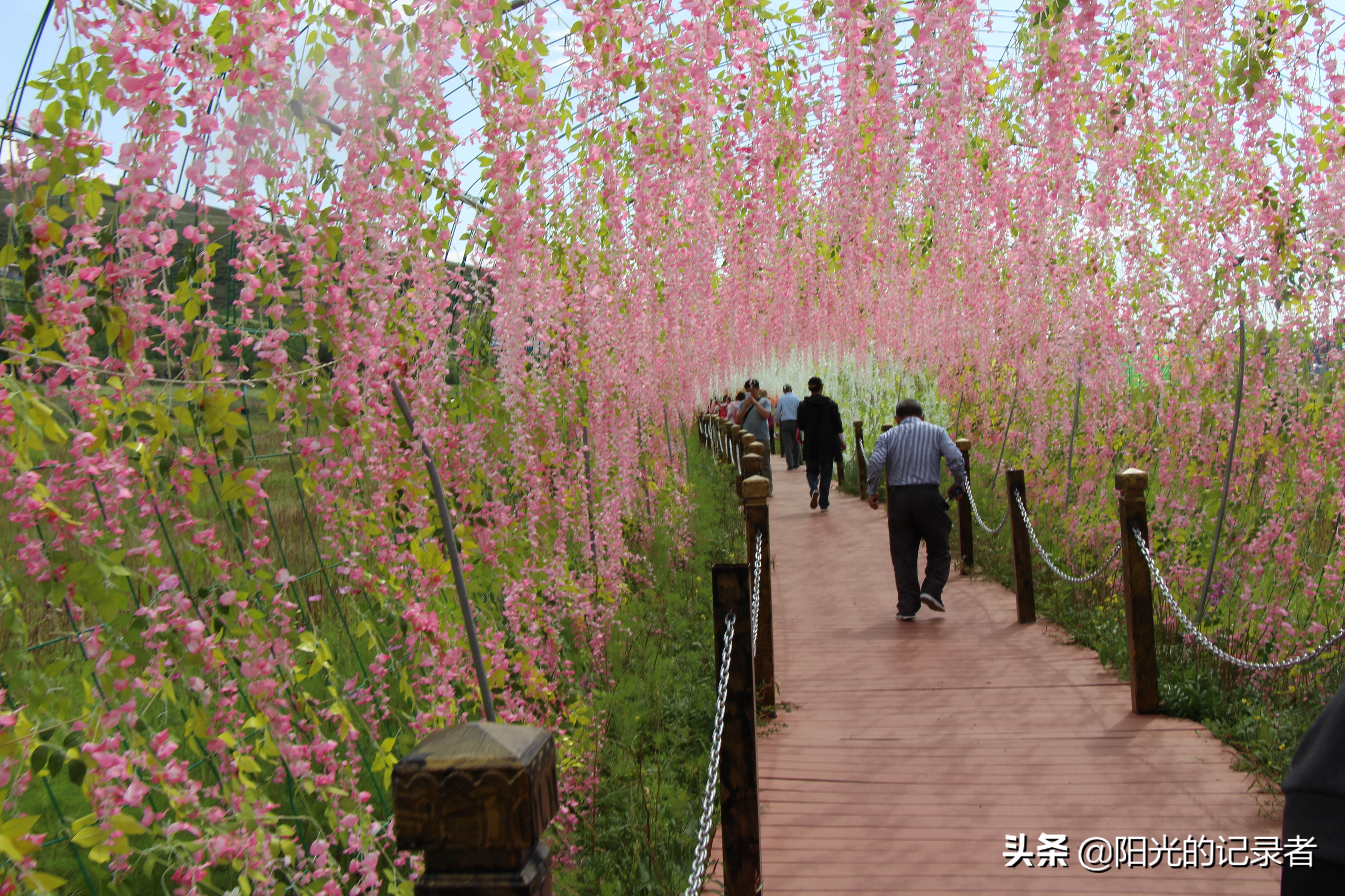 丰宁坝上草原哪几个免费景点必去,丰宁坝上景点冬天推荐