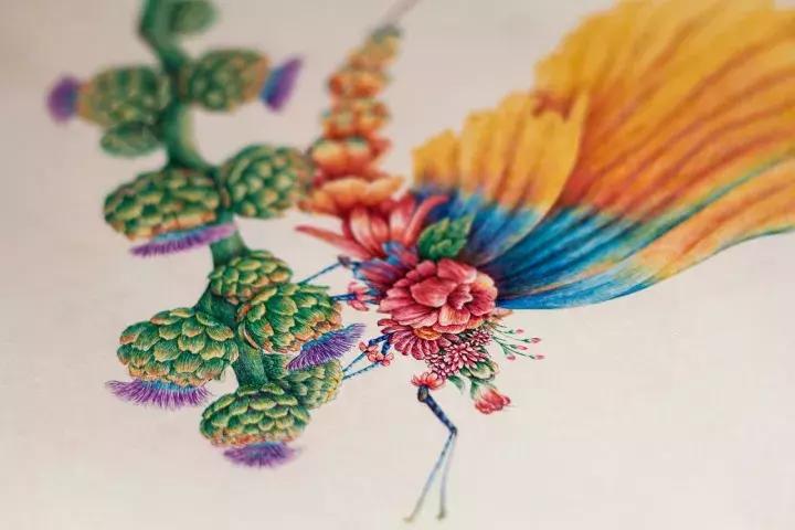 小央美钢笔画视频,极品五大钢笔画简直美爆