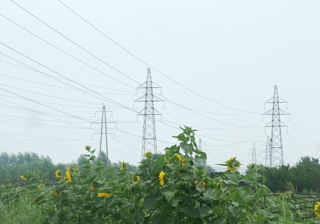 上海小三线建设史,上海小三线视频
