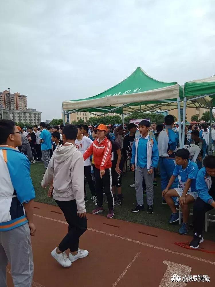 扶风小学运动会全部节目,扶风田径运动会