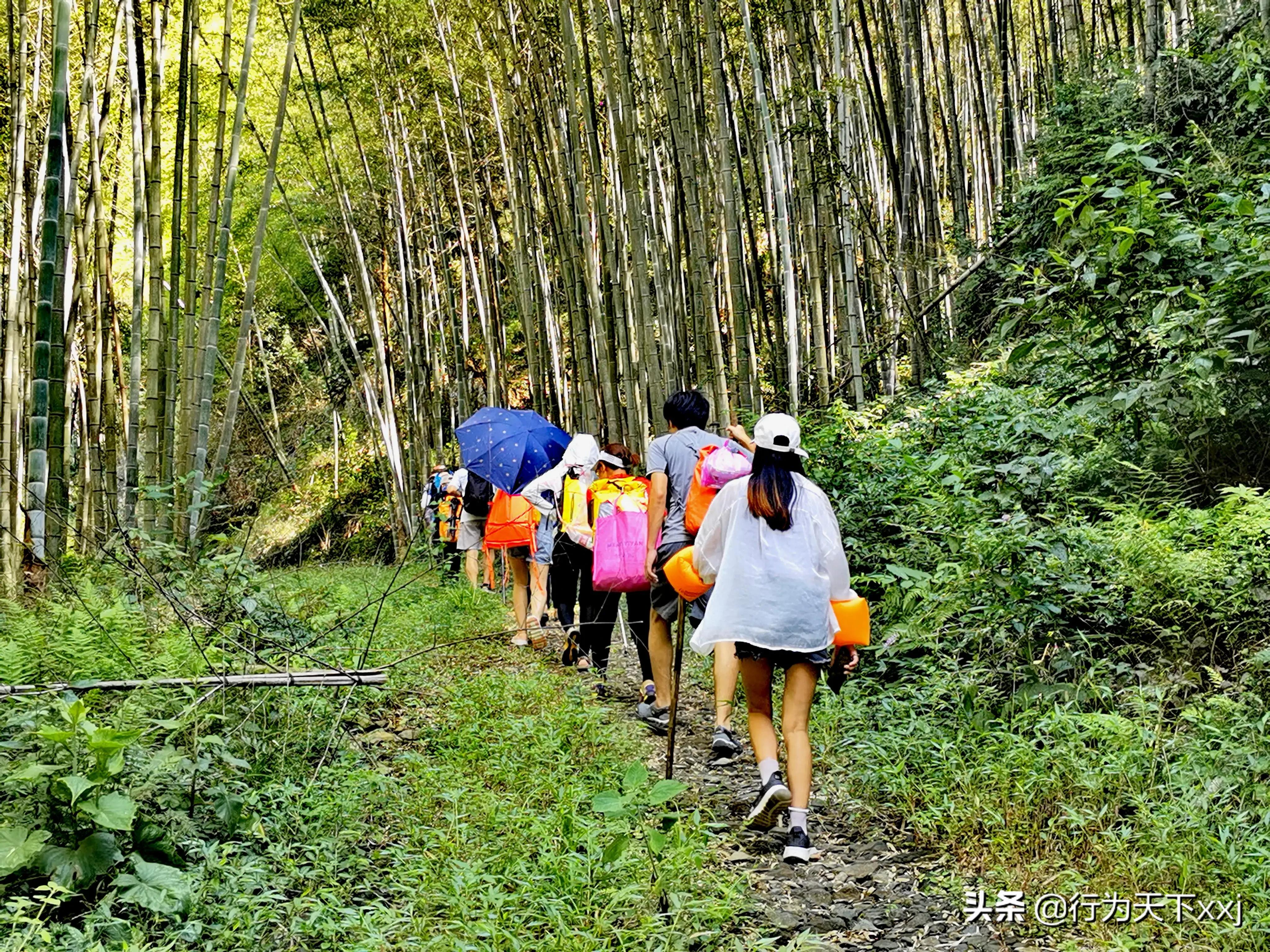 猫儿山水源视频,猫儿山景区的水