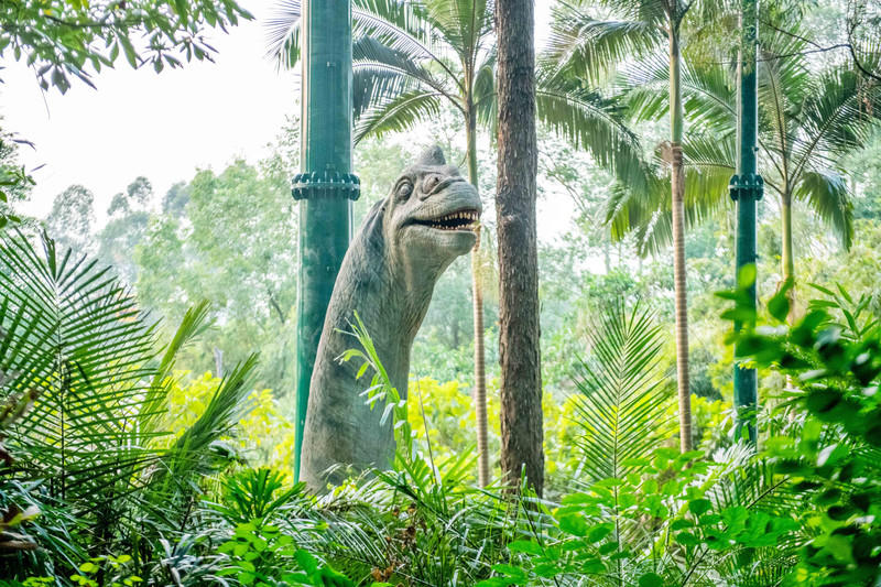 广州长隆野生动物世界旅游攻略,长隆野生动物世界攻略2-3天广州游