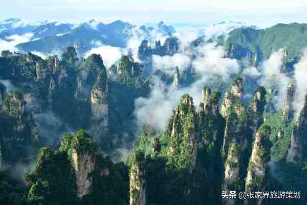 张家界旅游注意事项与攻略,张家界找导游注意事项