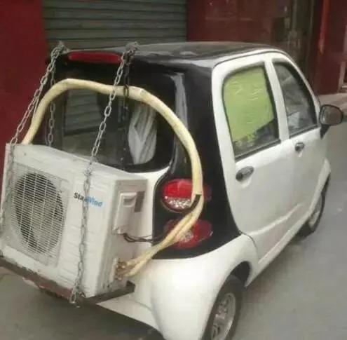 出门遇到这“街头流氓”,我劝你快逃