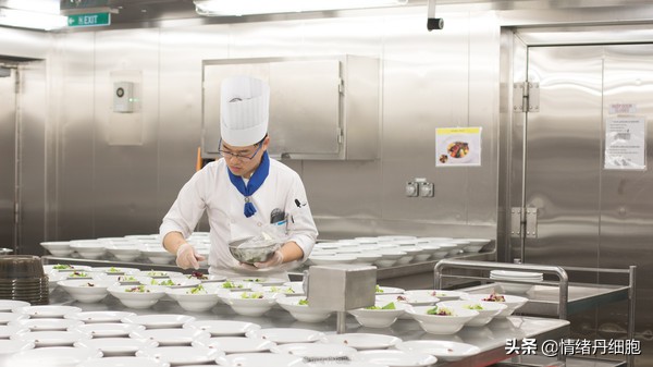 皇家加勒比邮轮量子号新加坡出发,皇家加勒比海洋量子号邮轮之旅