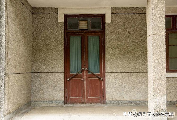 济南一颗梧桐树,济南的法国梧桐