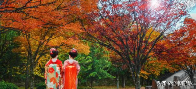 日本繁华地段东京银庭,日本东京繁华市中心视频