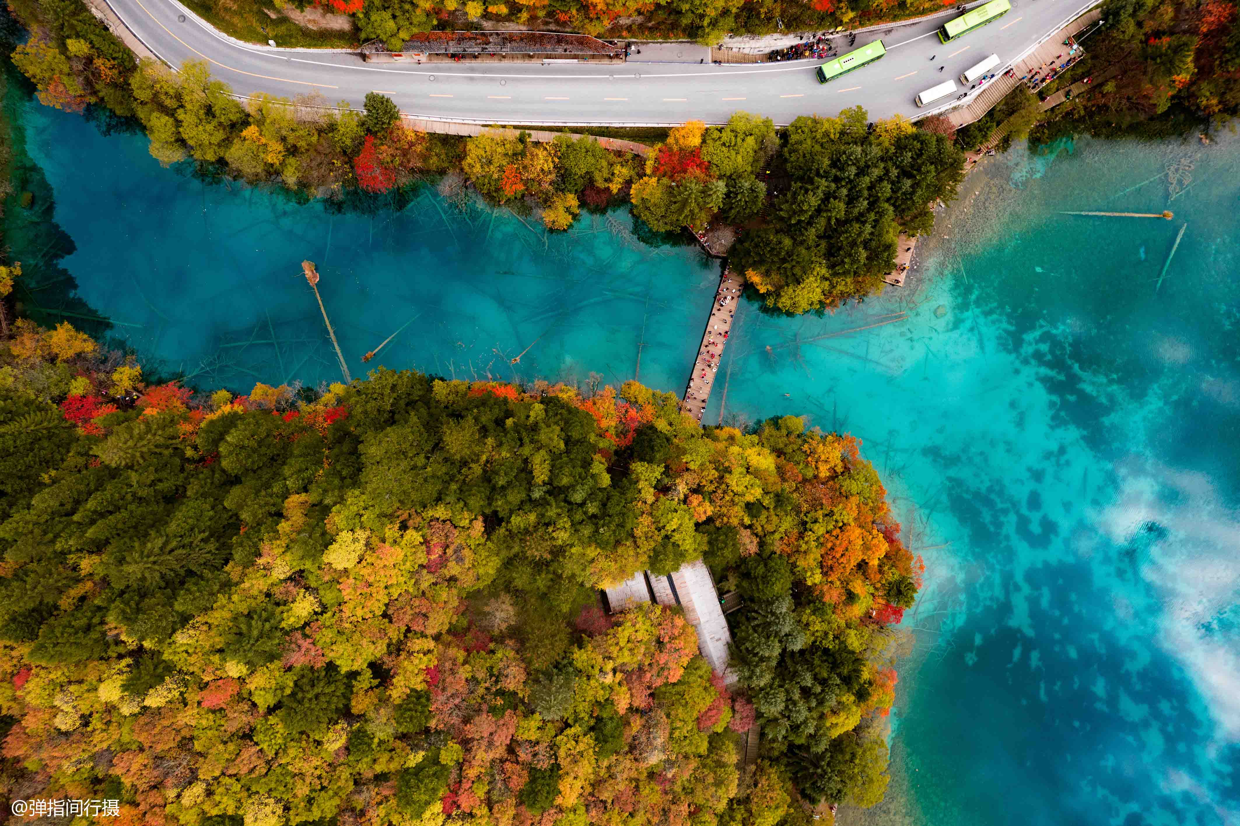 九寨沟最“仙”的景点:秋色宛如彩色梦境,堪称“九寨沟一绝”