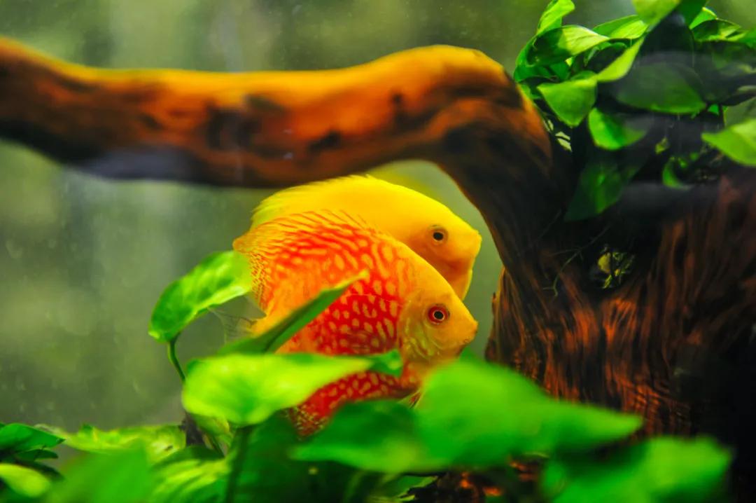 这个季节适合去济南哪旅游,济南十一假期游玩攻略