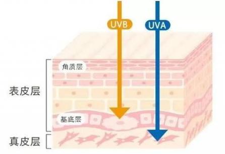 夏天晒黑怎么恢复美白,夏天晒黑了怎么快速变白