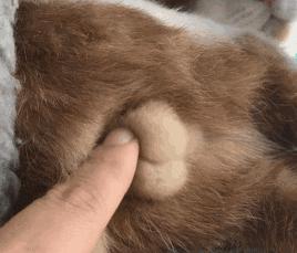 如果一个男生问了你一个问题,当男生问了一个莫名其妙的问题