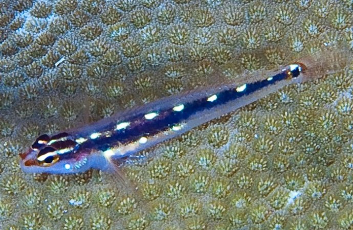 海底你不知道的东西,海底世界东海龙宫