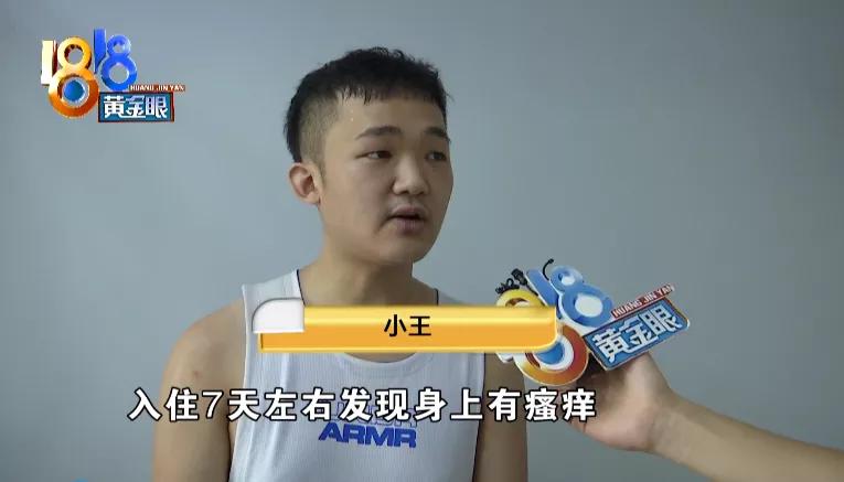 床上出现褐色小虫子书虱,背上长满小疙瘩是螨虫的房子吗