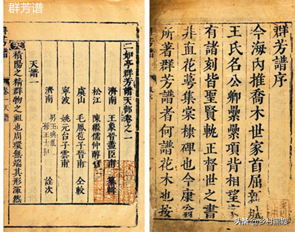 农作物棉花来自哪里?是国产吗?一口气搞懂棉花的前世今生