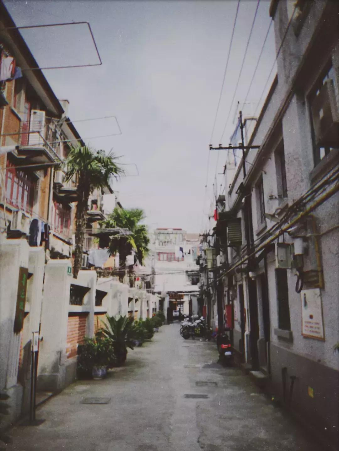 魔都徒步,魔都樱花徒步攻略