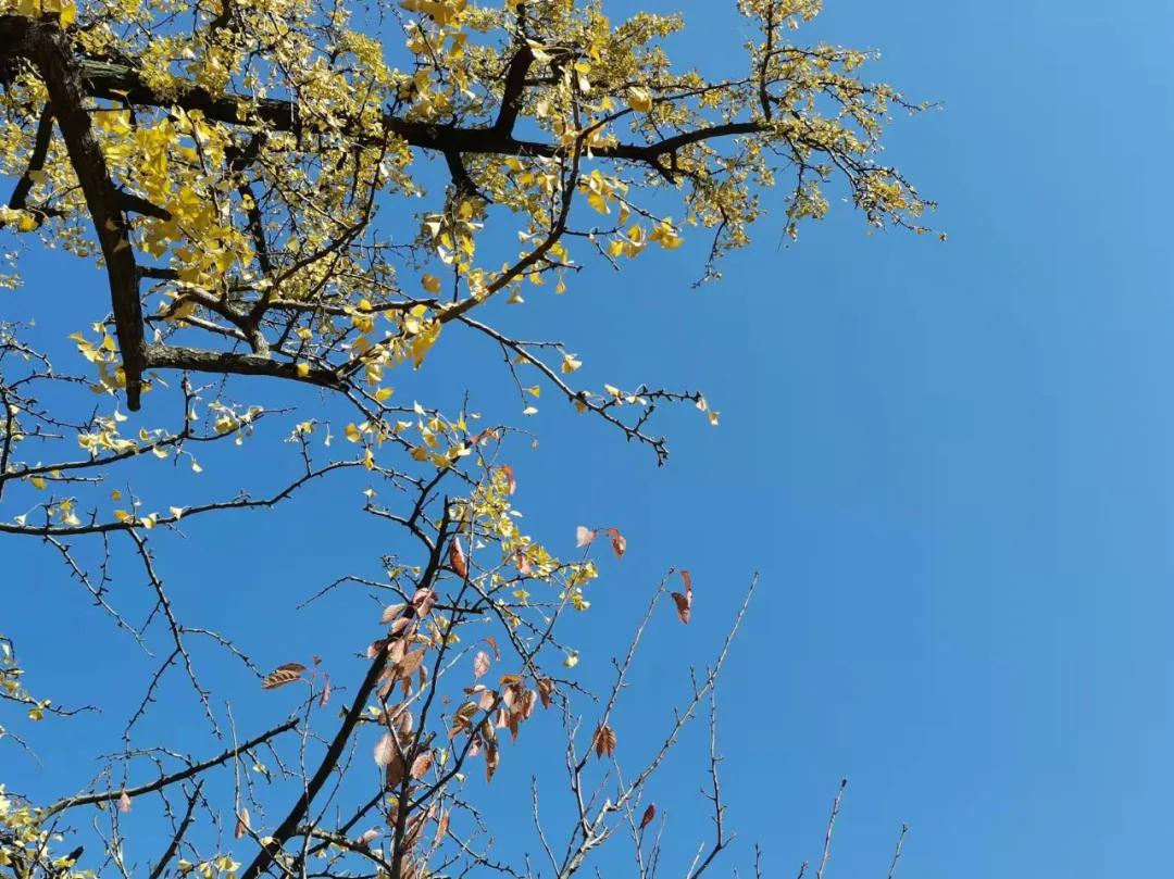 行走｜物华天宝宝华山