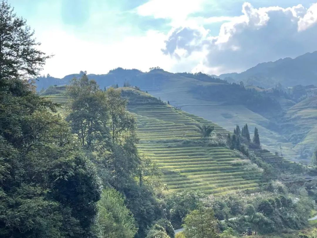 正海信息化故事汇13：低频应用变高频应用的一记妙招