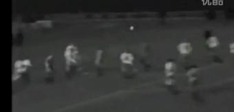 箭逐云鸿落鹰随月兔飞什么意思,箭逐云