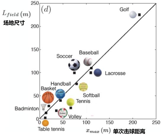 奥运会速度最快的球,奥运比赛哪个泳姿最快
