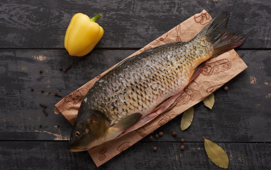 内分泌失调男性长痘怎么调理,内分泌失调下巴长痘吃什么药调理