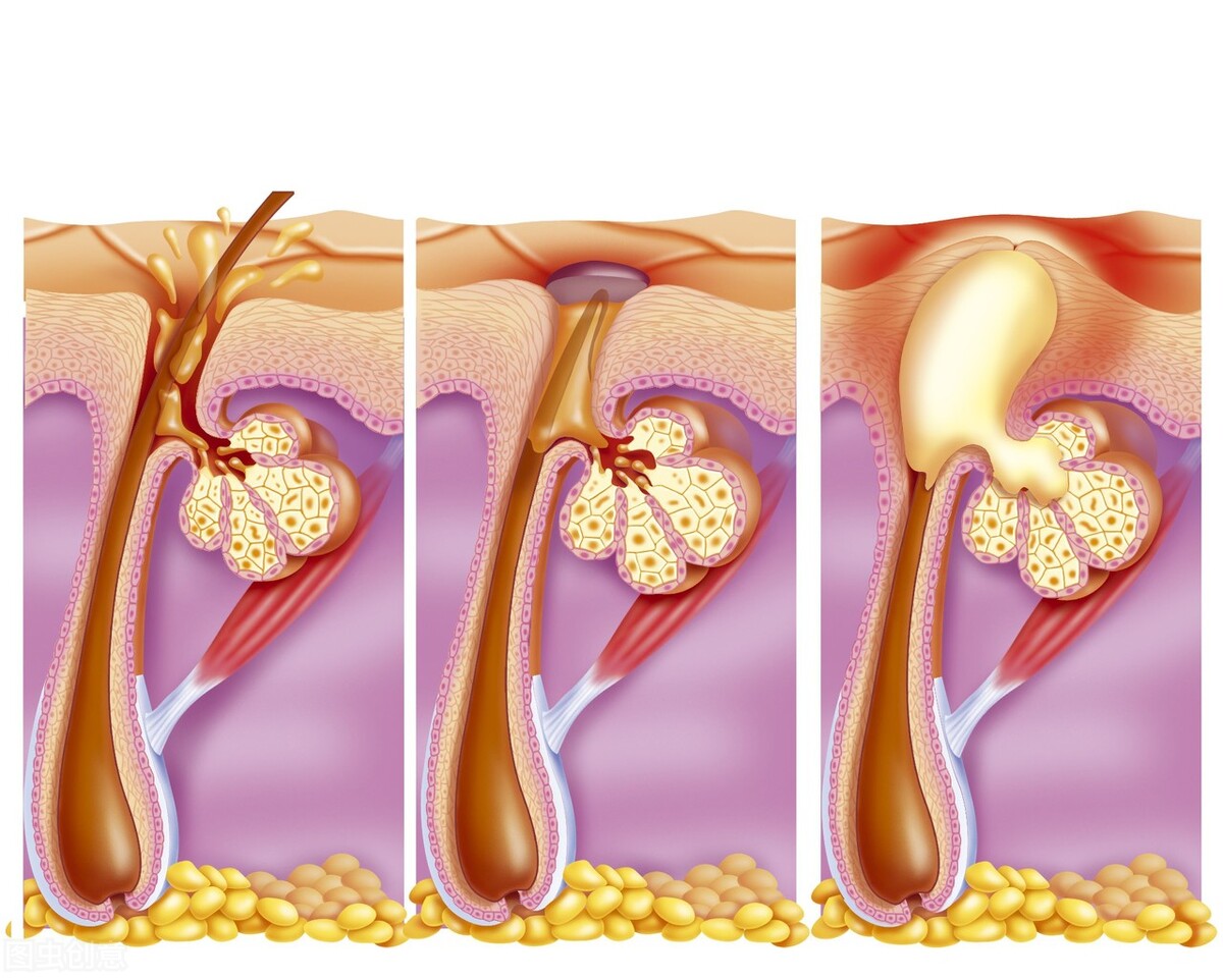 面部保养美容知识,有关面部保养的知识