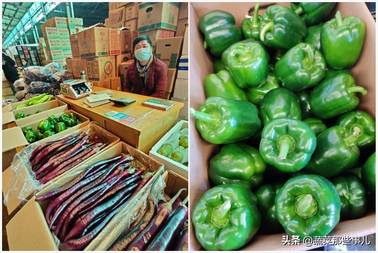 今日上海江桥带壳鲜蚕豆批发价,上海江桥批发市场蚕豆最新价格