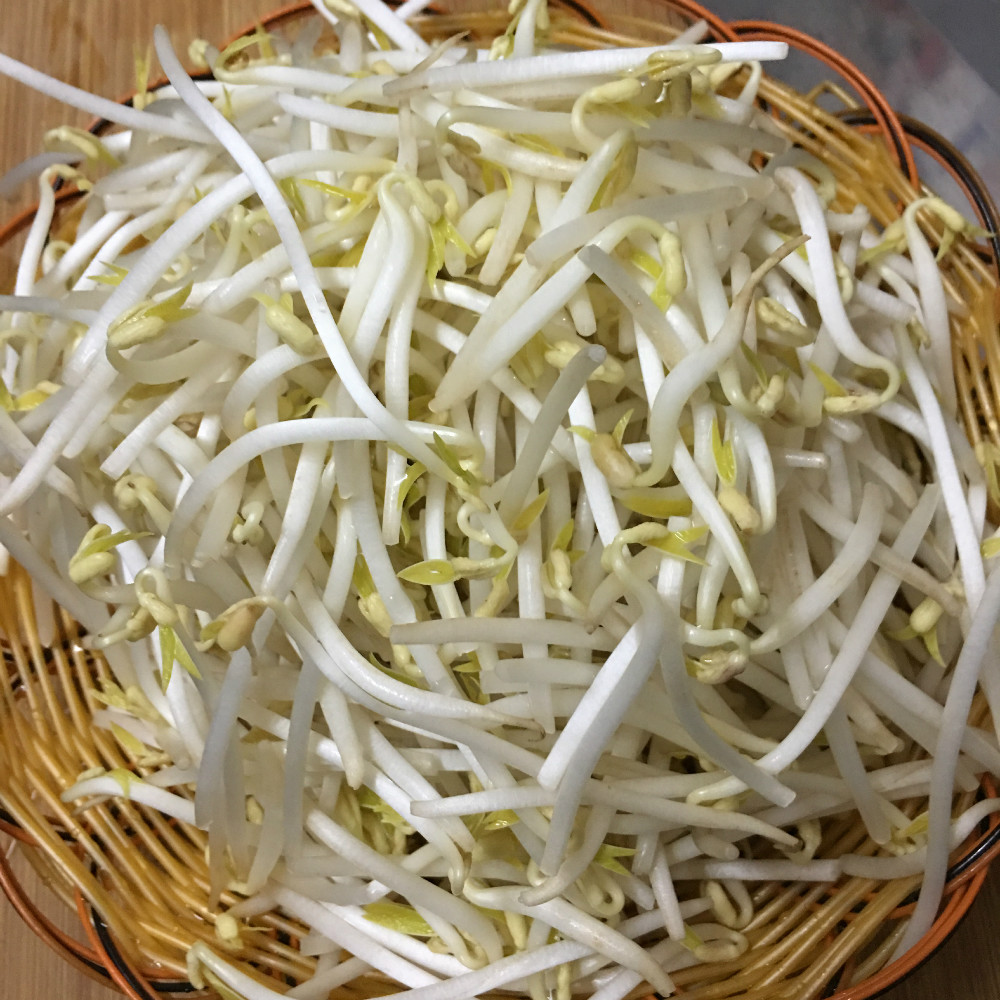 生豆芽小妙招,自己生豆芽防烂的妙招