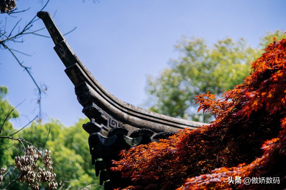 拙政园最让人欣赏的地方,拙政园十大特色