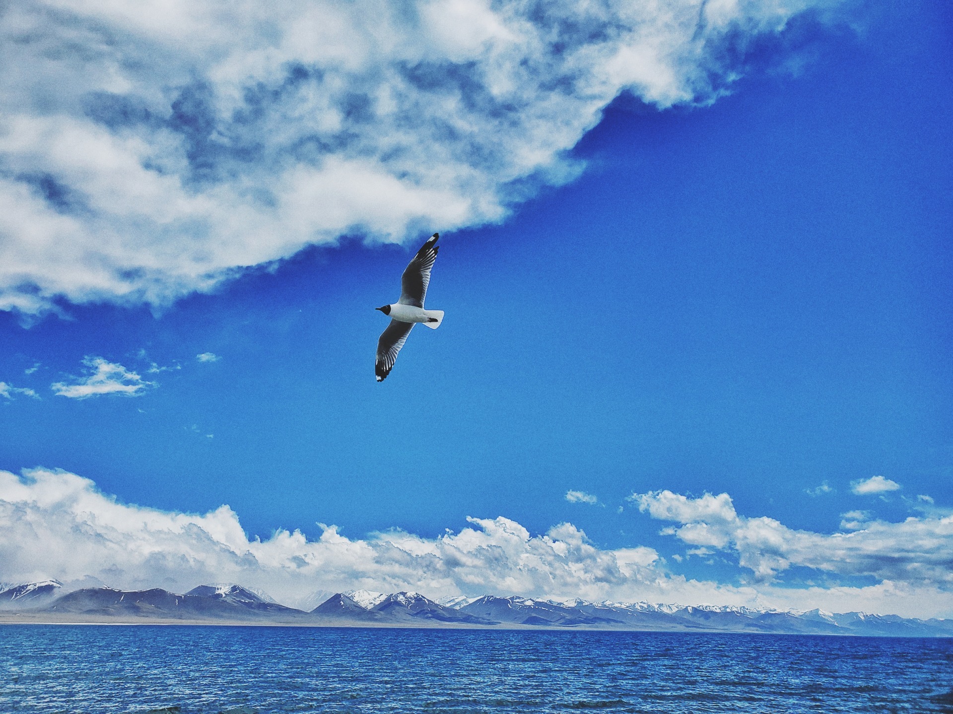 西藏高原湖泊纳木错视频,西藏湖泊纳木措的视频