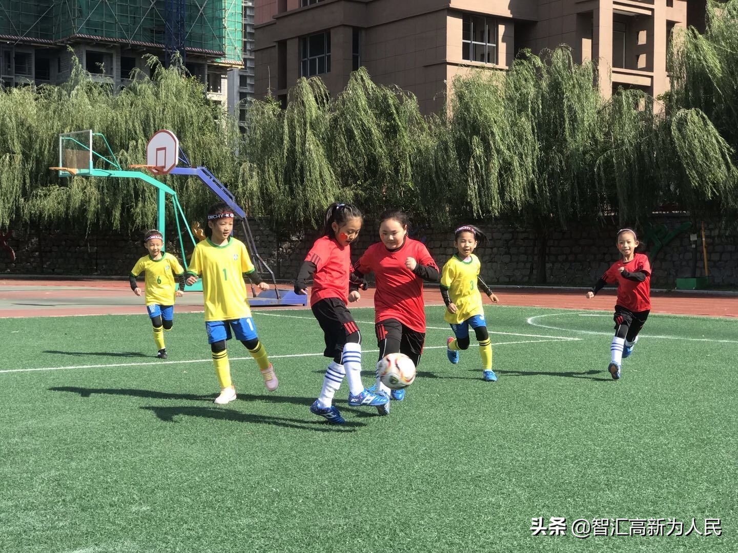 烟台市小学足球联赛,高新区实验小学足球联赛