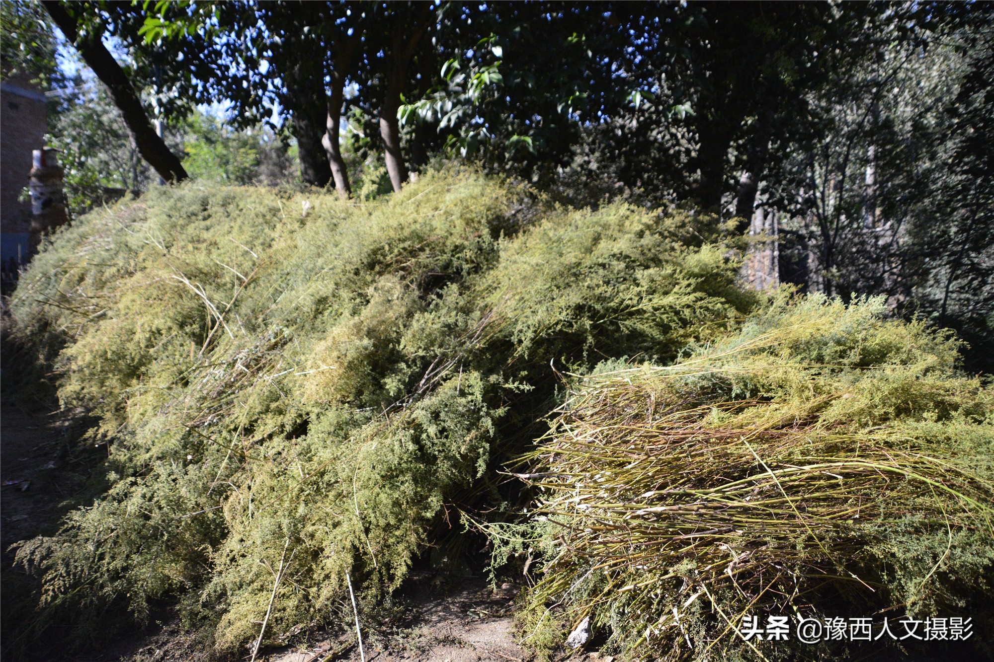 大锅变废为宝,变废为宝老人