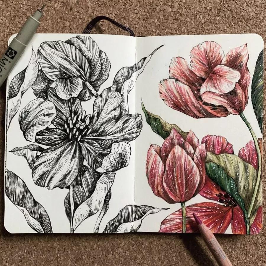 一看就懂的针管简笔画,针管笔入门手绘1000例临摹图