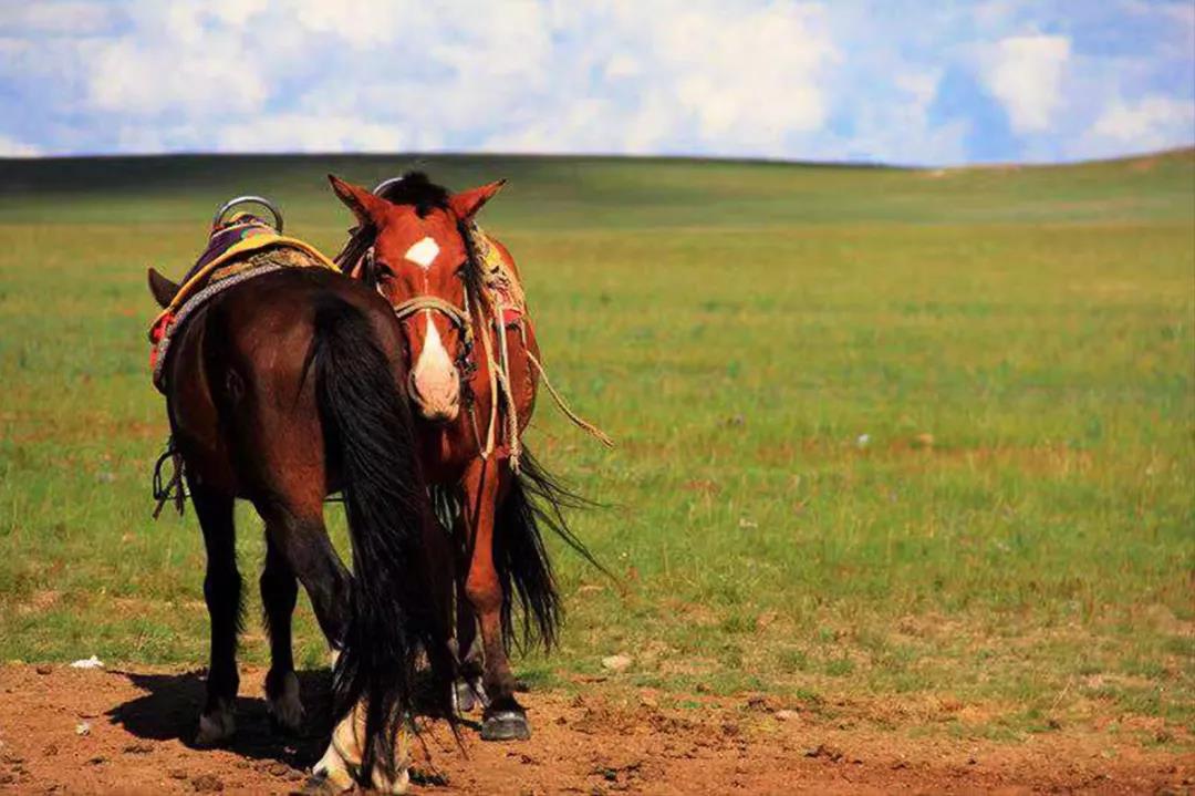 探秘阴山山脉,阴山山脉详细穿越路线