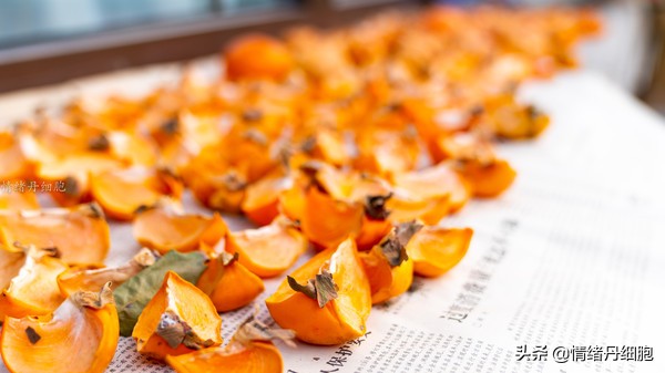 银狐洞风景区旅游路线攻略,游银狐洞