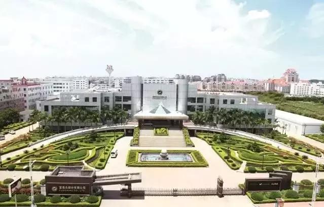 福建省泉州市石狮市富贵鸟,石狮伍鸿路富贵鸟