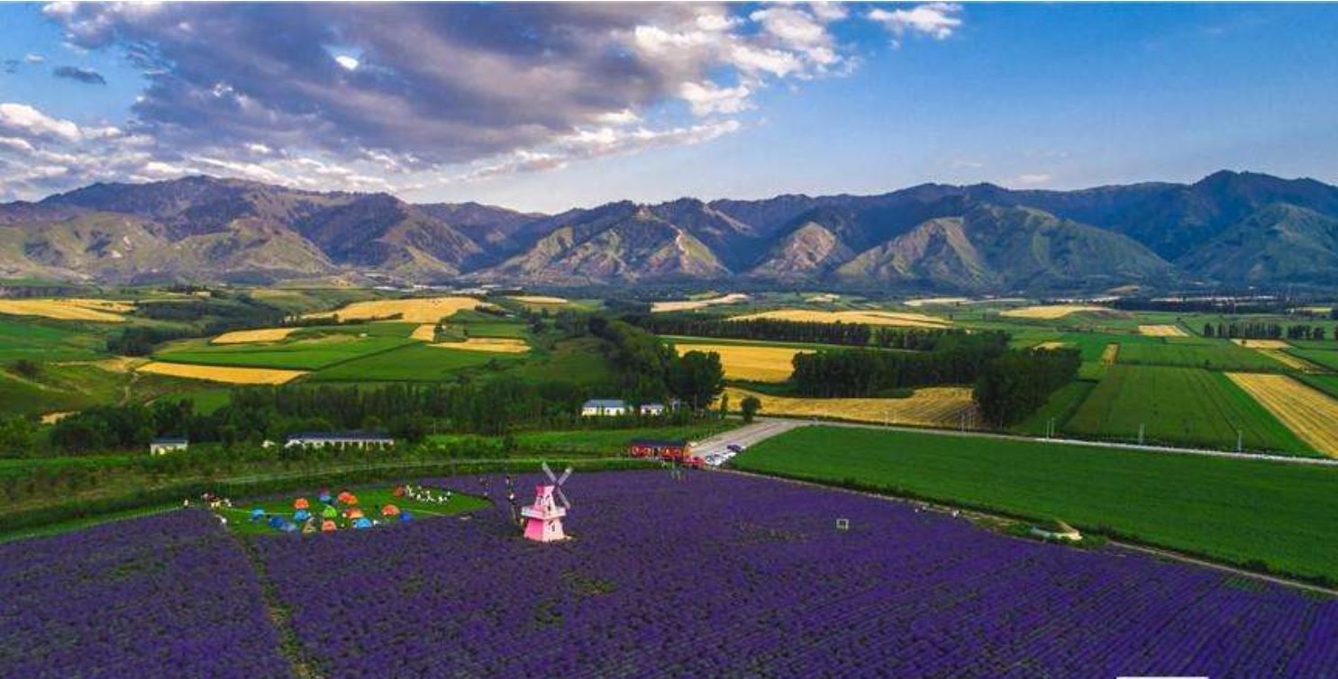 新疆伊犁人间仙境,新疆真正的人间仙境视频