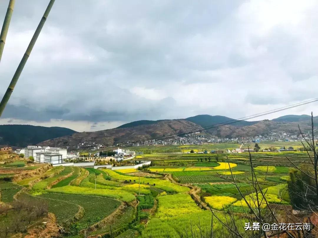 正月十五秦淮河花灯,人山人海太热闹了正月十五闹花灯
