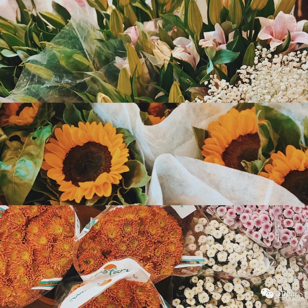 青岛最适宜旅游的景点有几个,青岛过年免费旅游景点