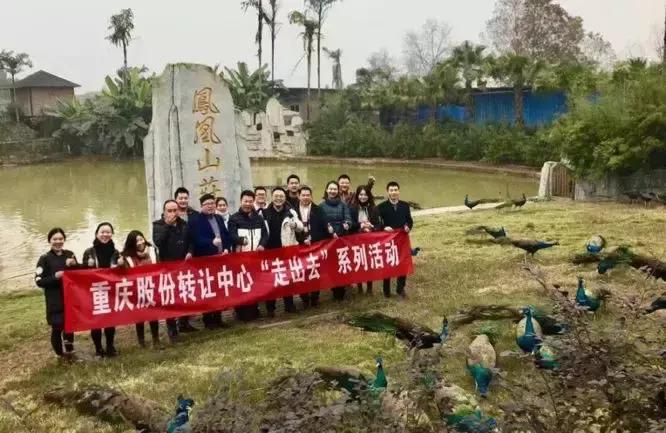 重庆股份转让中心在哪呢,重庆市股份转让中心