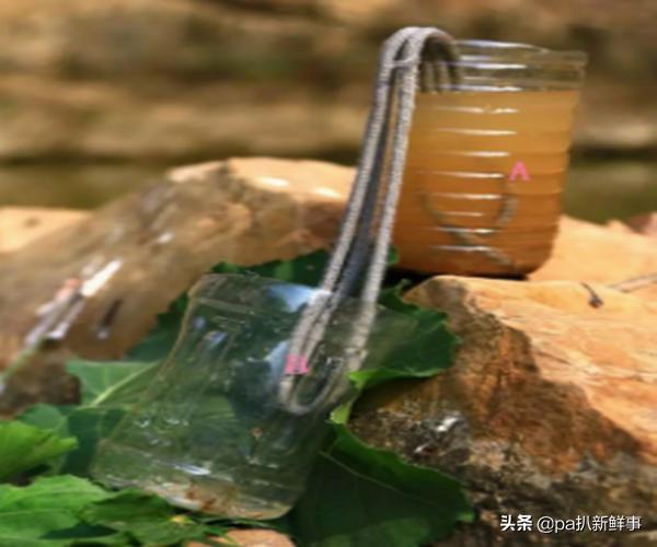 户外探险取水视频教程,户外探险必备十大技能