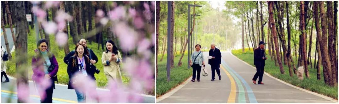 巴适自驾旅游攻略,巴适小众公园