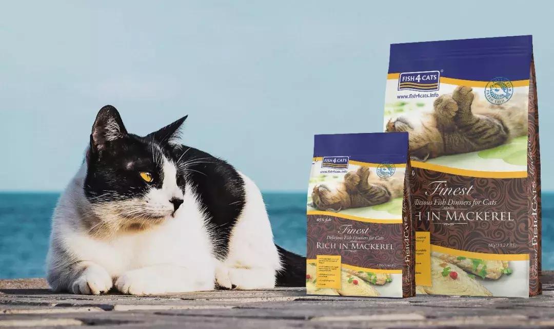 家里养猫但不碰猫也会得猫癣吗,猫得了猫癣怎么治好得快