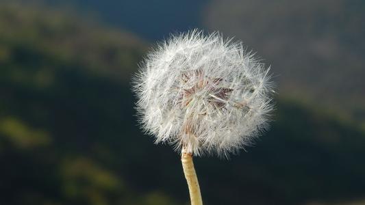 你如何克服害羞,怎么才能克服害羞的感觉