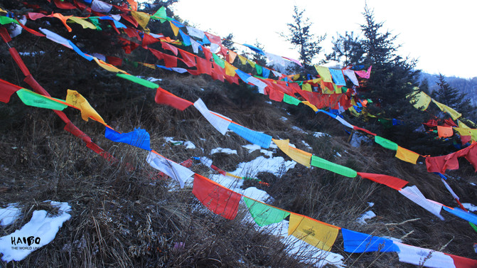 中国四大佛教之首的五台山,中国佛教四大名山游五台山