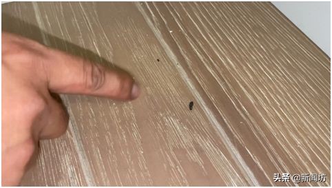 上海爷叔奇闻异事,上海爷叔生活状态