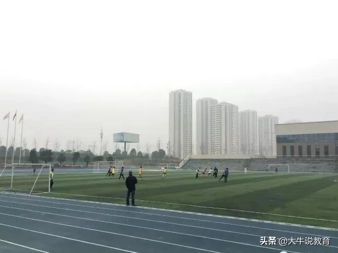 师陶圣地，育才摇篮，近七年数据深度剖析，祝中考学子乘风破浪