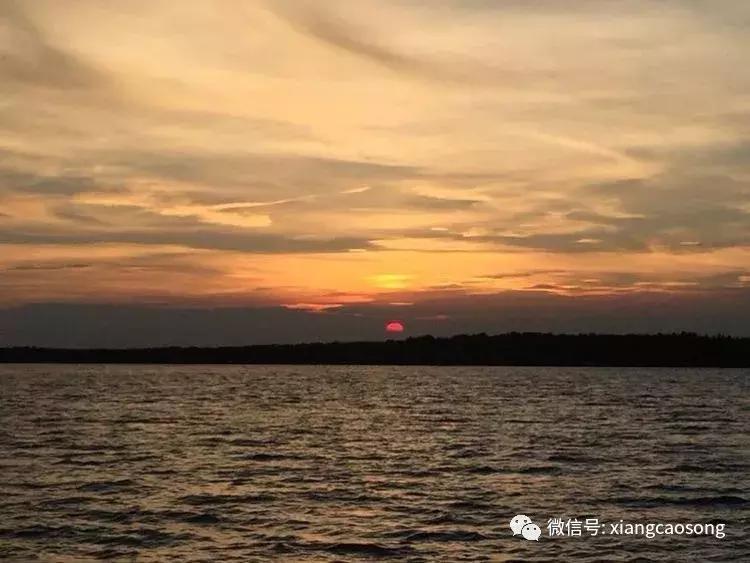 漂洋过海来挖宝,漂洋过海去台湾吃海鲜