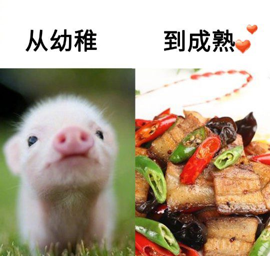 女神在宿舍做什么羞事​​​​|今日爆笑囧图